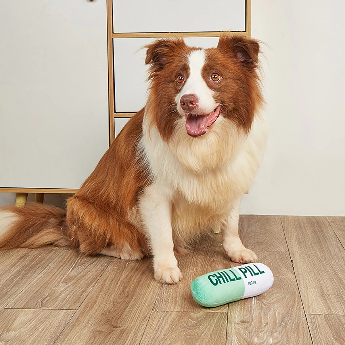 Interactive Plush Pill-Shaped Dog Toy with Squeaker - Durable, Bite-Resistant Chew Toy for Pet Play and Dental Health - high-quality product