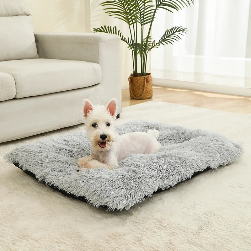 Soft Dog Beds House Soft Long Plush Best Pet Dog Bed For Dogs Basket Pet Products Cushion Cat Bed Cat Mat Animals Sleeping Sofa - high-quality product